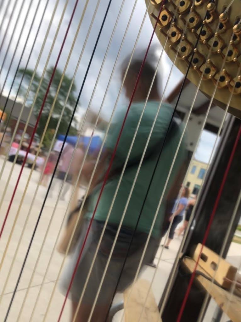 A blurred image of a performer through a harps strings